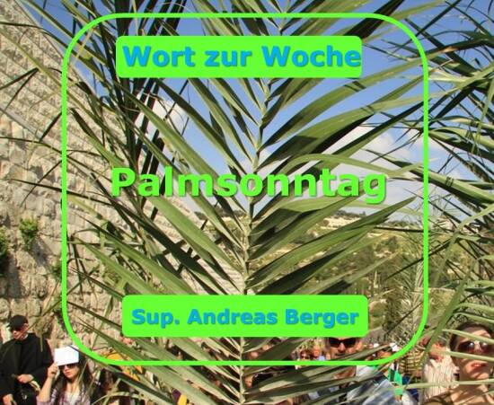 Wort zum Palmsonntag